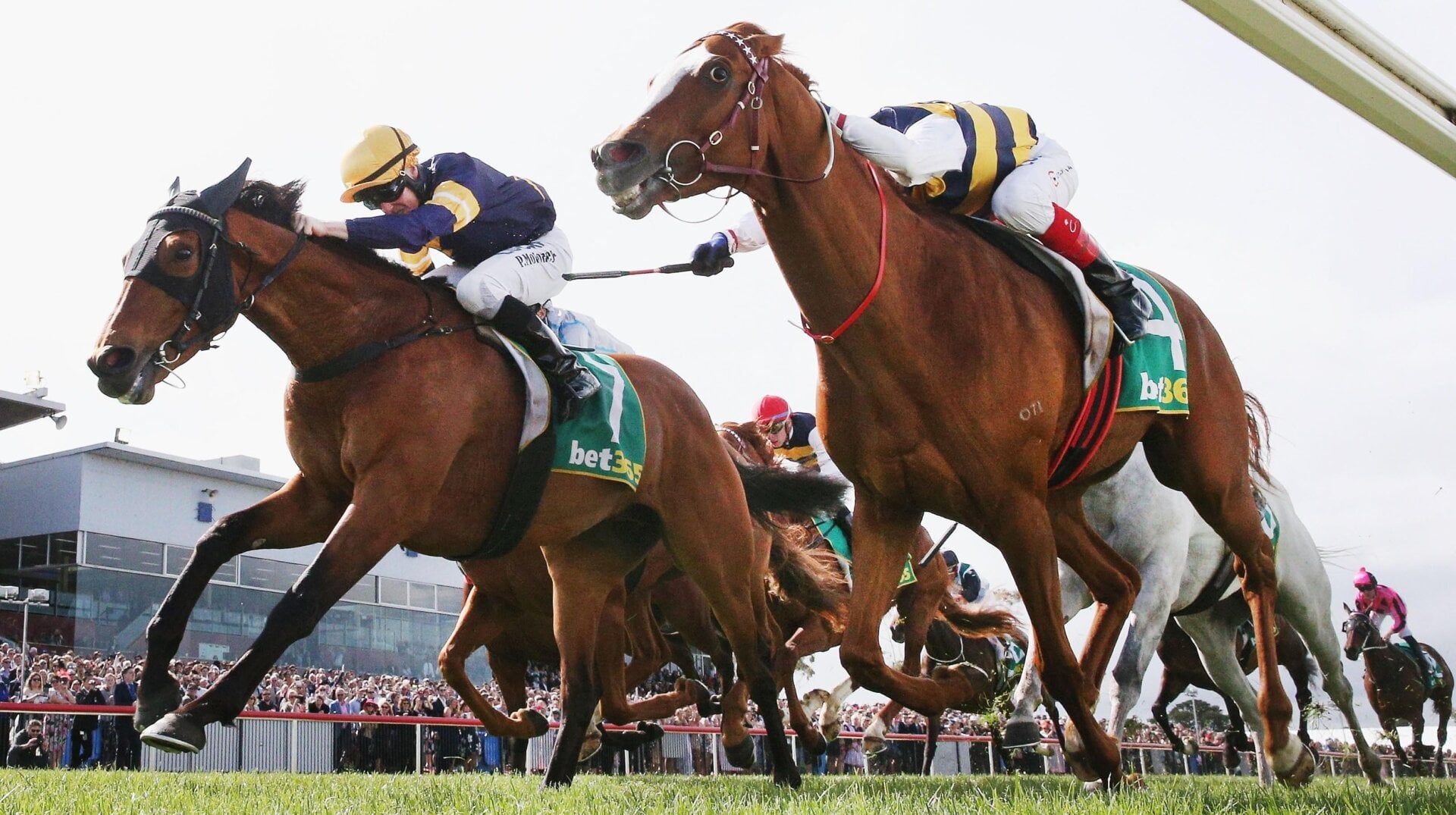 Horseback riders racing at the Geelong Cup during the Melbourne Racing event in Melbourne, Australia on October 25, 2017