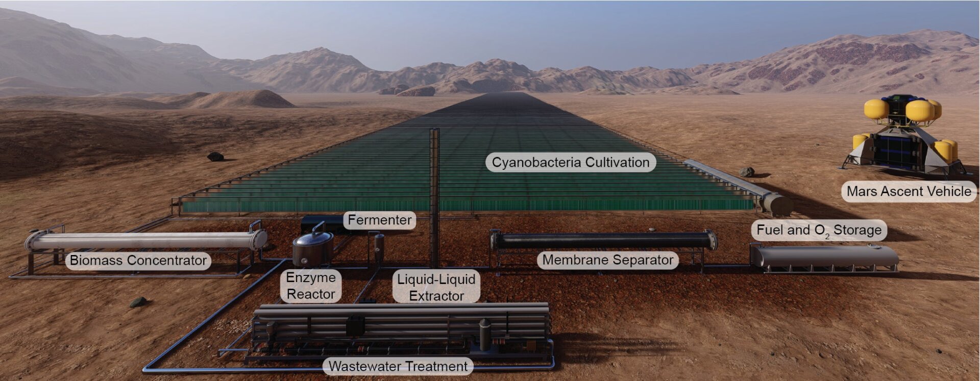 Artist’s conception of the possible bioreactor on Mars. 