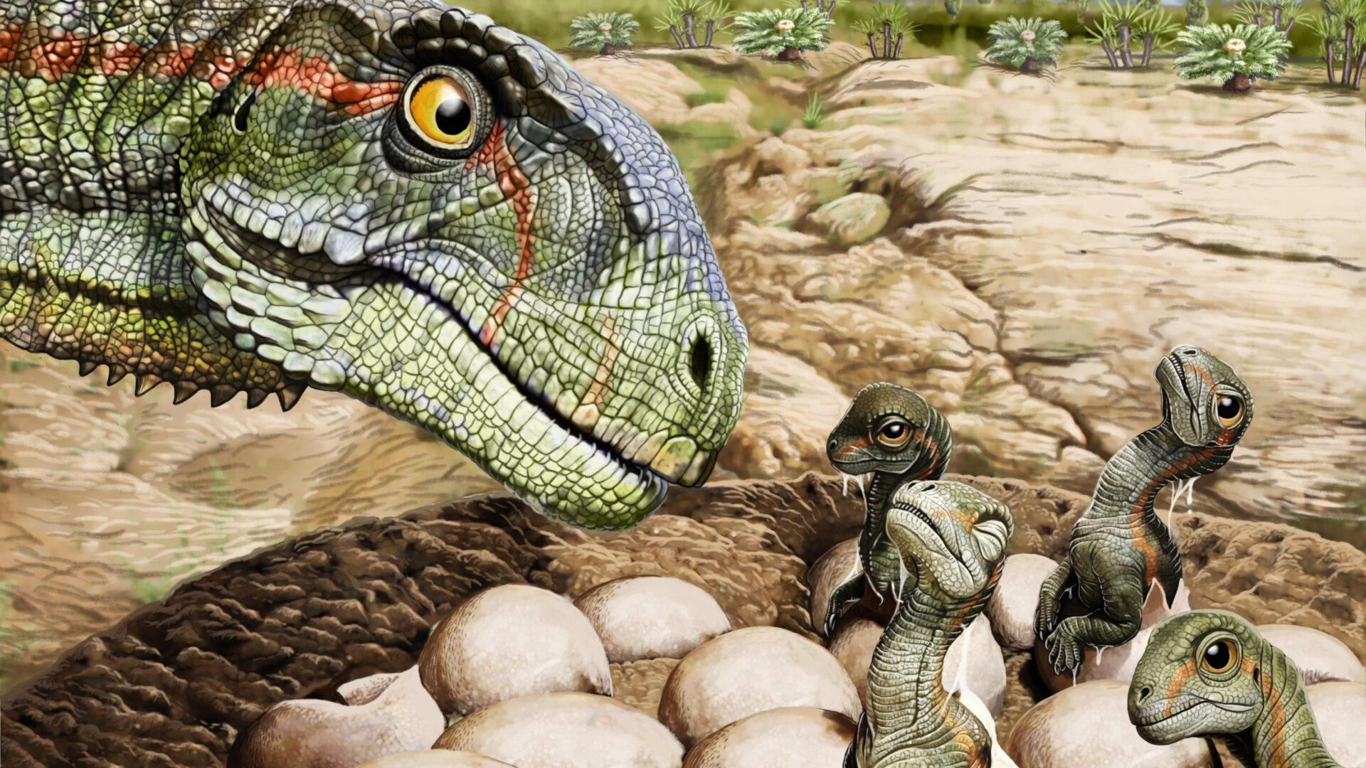 Artistic reconstruction of a Mussaurus patagonicus nest.