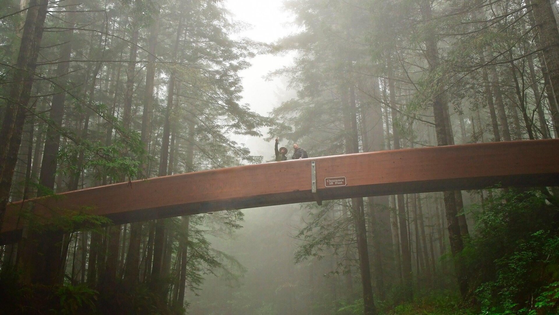 A park ranger with a visitor in fog on Lady Bird Johnson Grove footbridge in Redwood National Park.