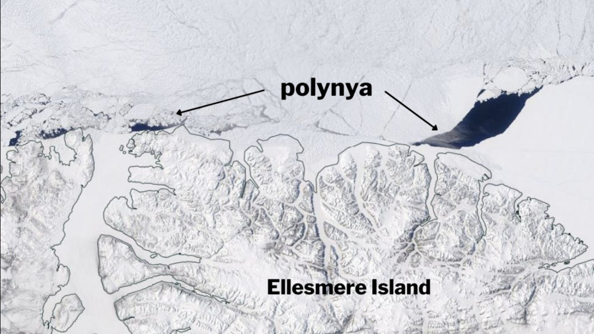 The large gap seen to the north of Ellesmere Island in May 2020.
