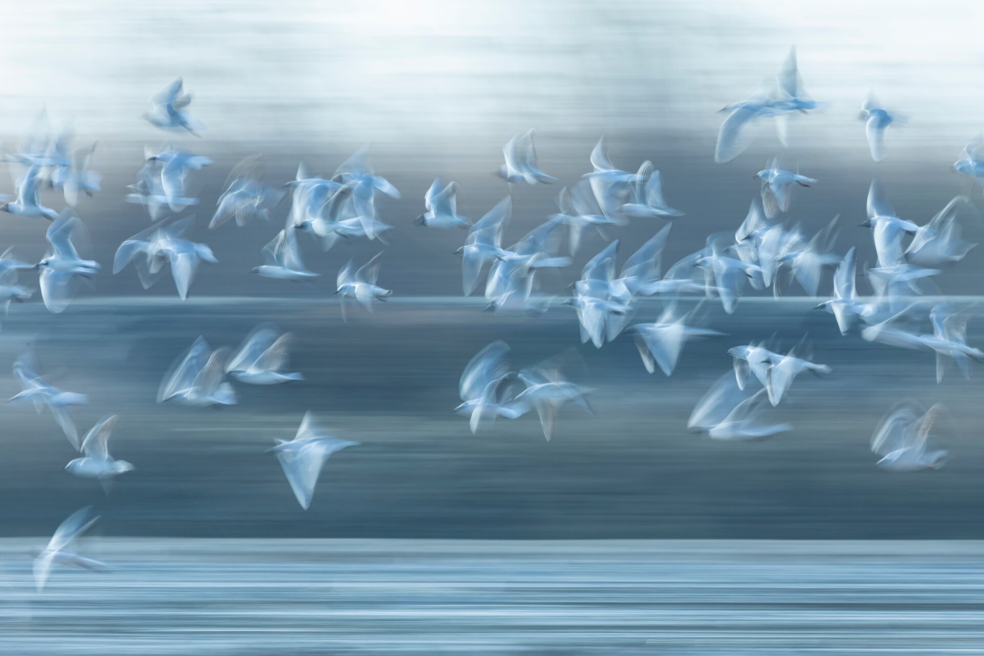 Photo: Roberto Garcia Roa/British Ecological Society