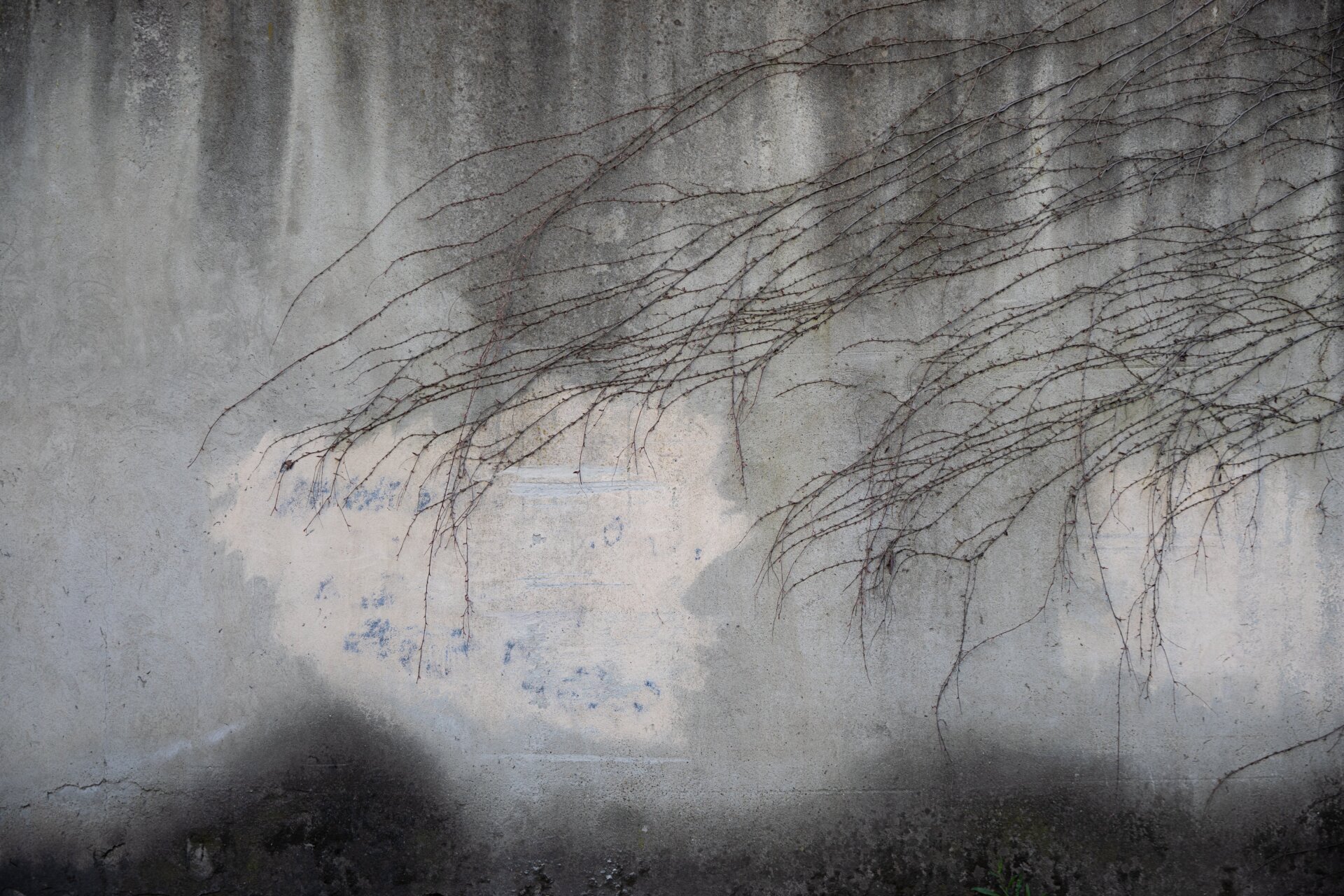 Image: Molly Dunn/British Ecological Society