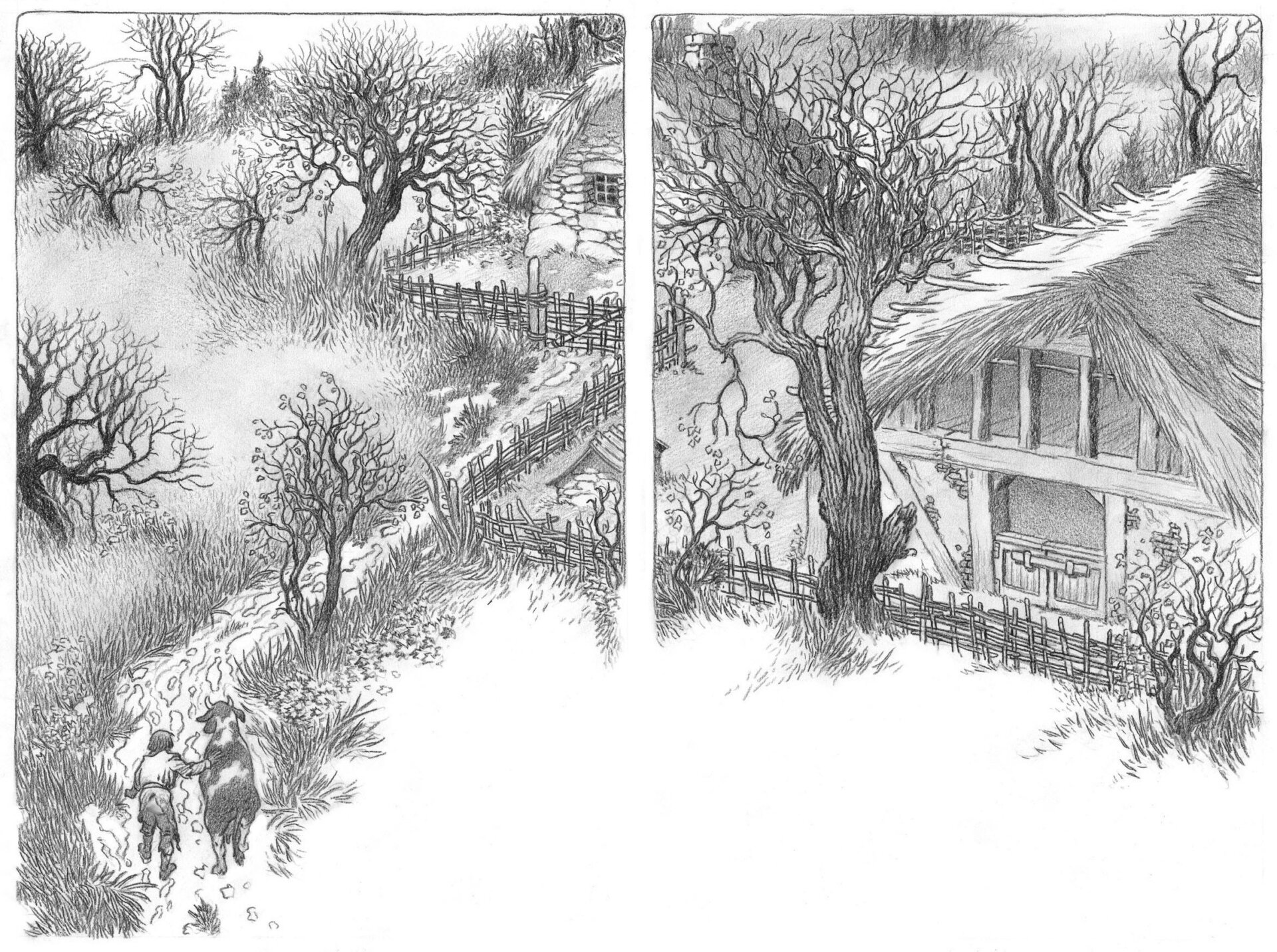 Illustration: Charles Vess