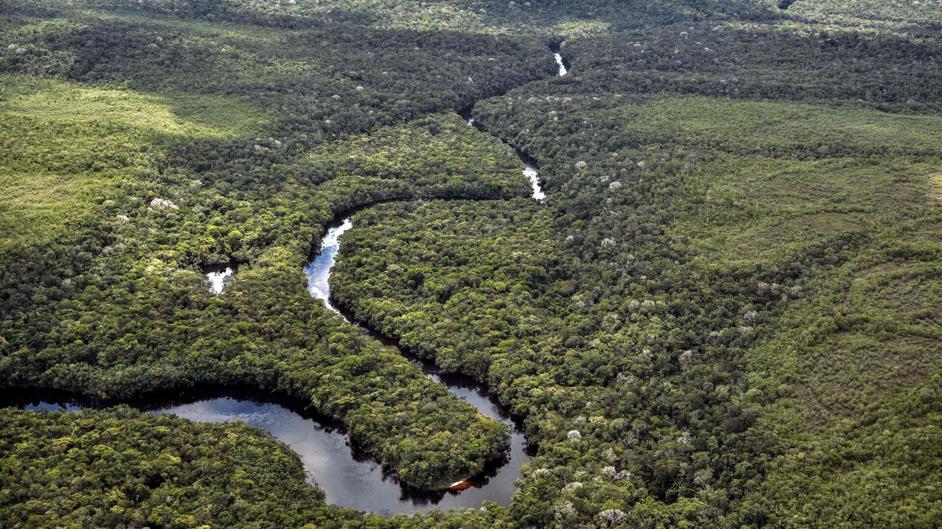 Aerial view of the Serrania de Chiribiquete, located in the Amazonian jungle departments of Caqueta and Guaviare, Colombia, on June 7, 2018.