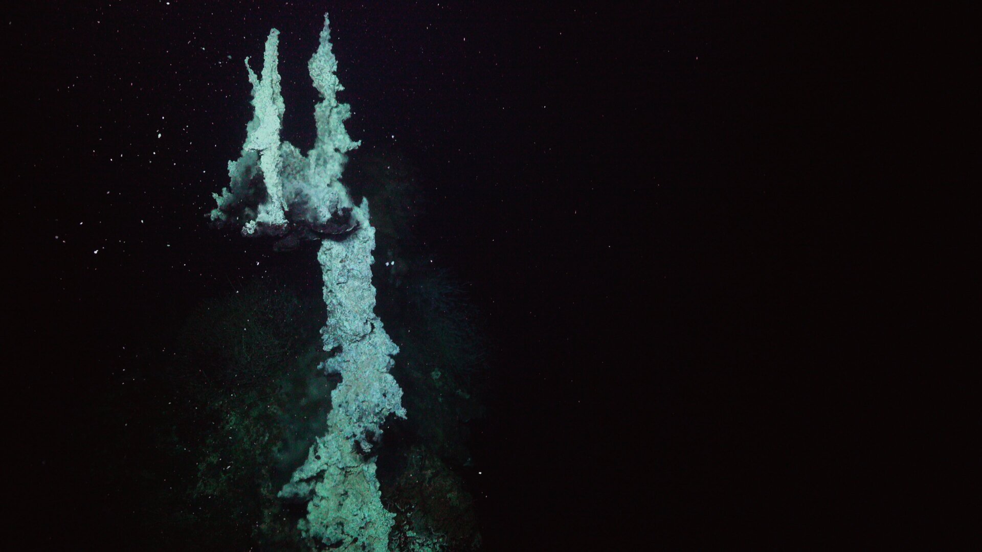 This chimney structure was formed by minerals precipitating from the hydrothermal fluids as they come in contact with the ocean’s cold water, at a depth of 2.3 miles (3680 meters).