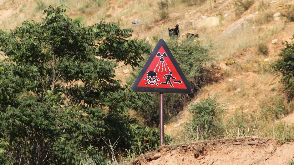 Photo: Diana Kruzman