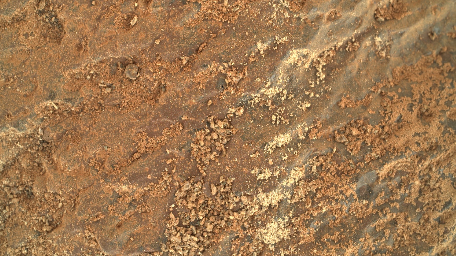 A close-up of some Martian rock imaged by the SHERLOC WATSON camera on Perseverance on November 10, 2021.