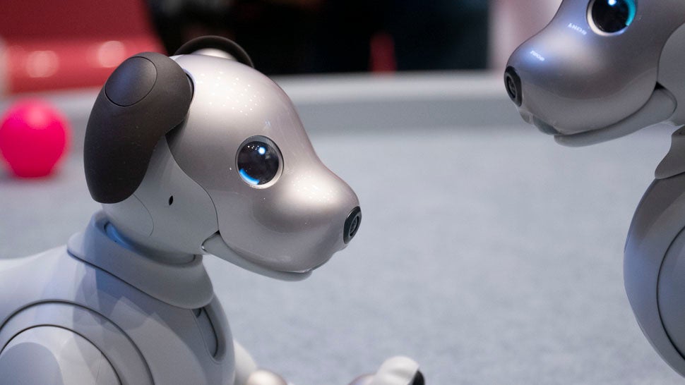 Aibo wants to love you and then upload that love into Sony’s cloud-based AI servers.