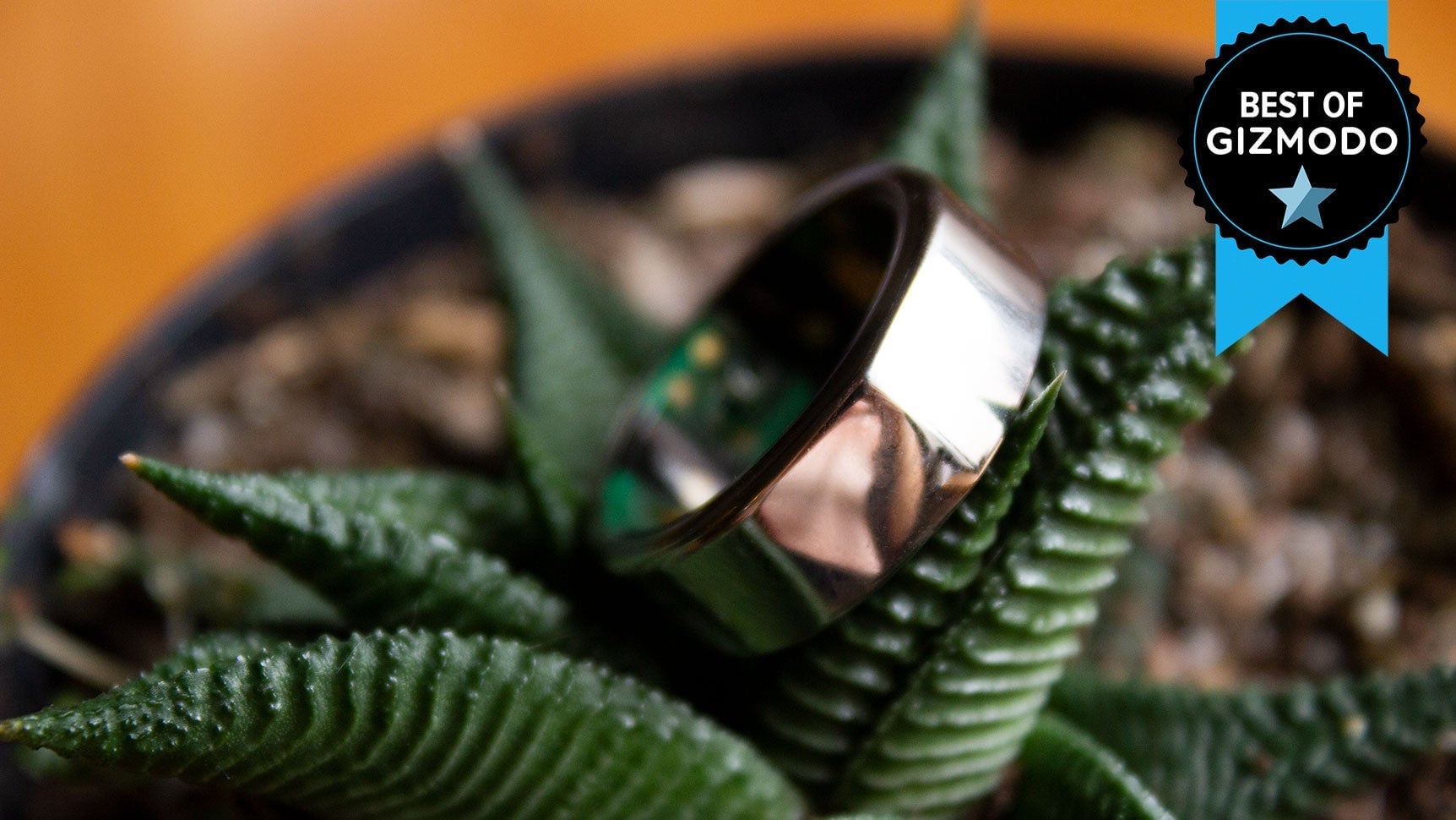 Photo: Victoria Song/Gizmodo