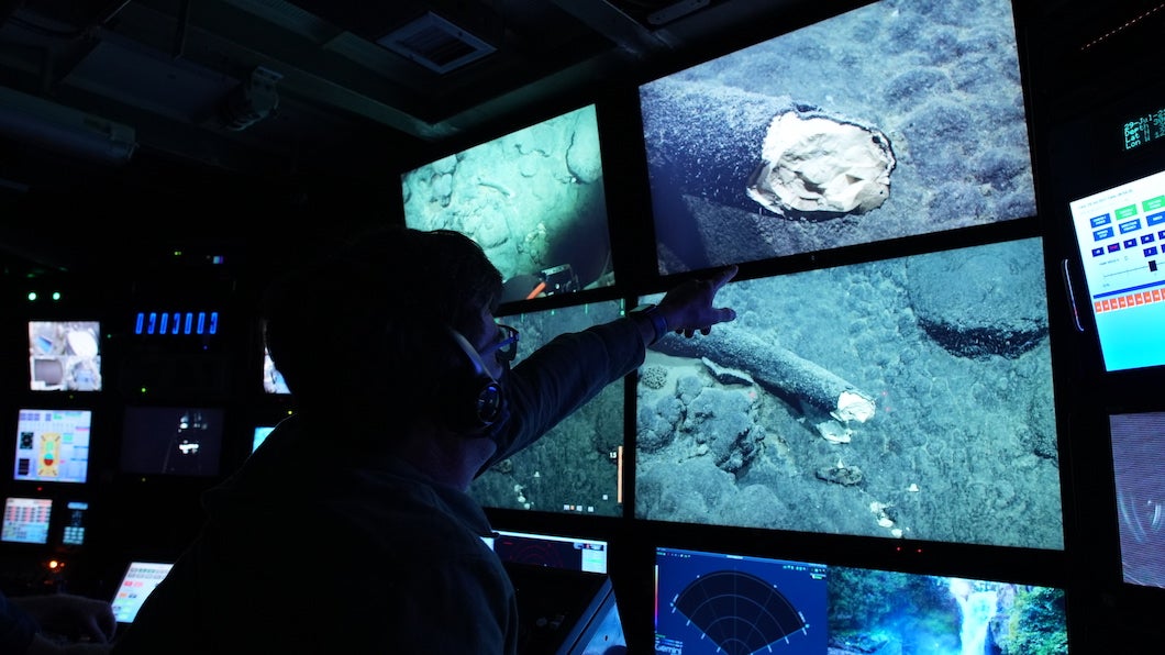 MBARI scientist Steven Haddock observing the internal structure of the tusk.