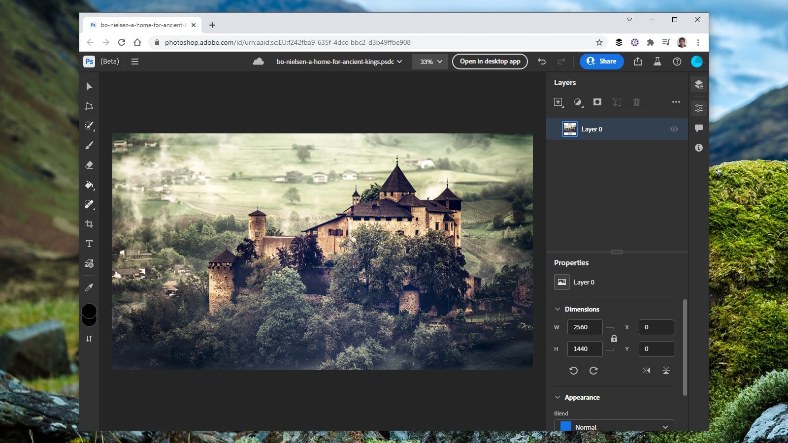 Photoshop on the web is very much on the basic side.