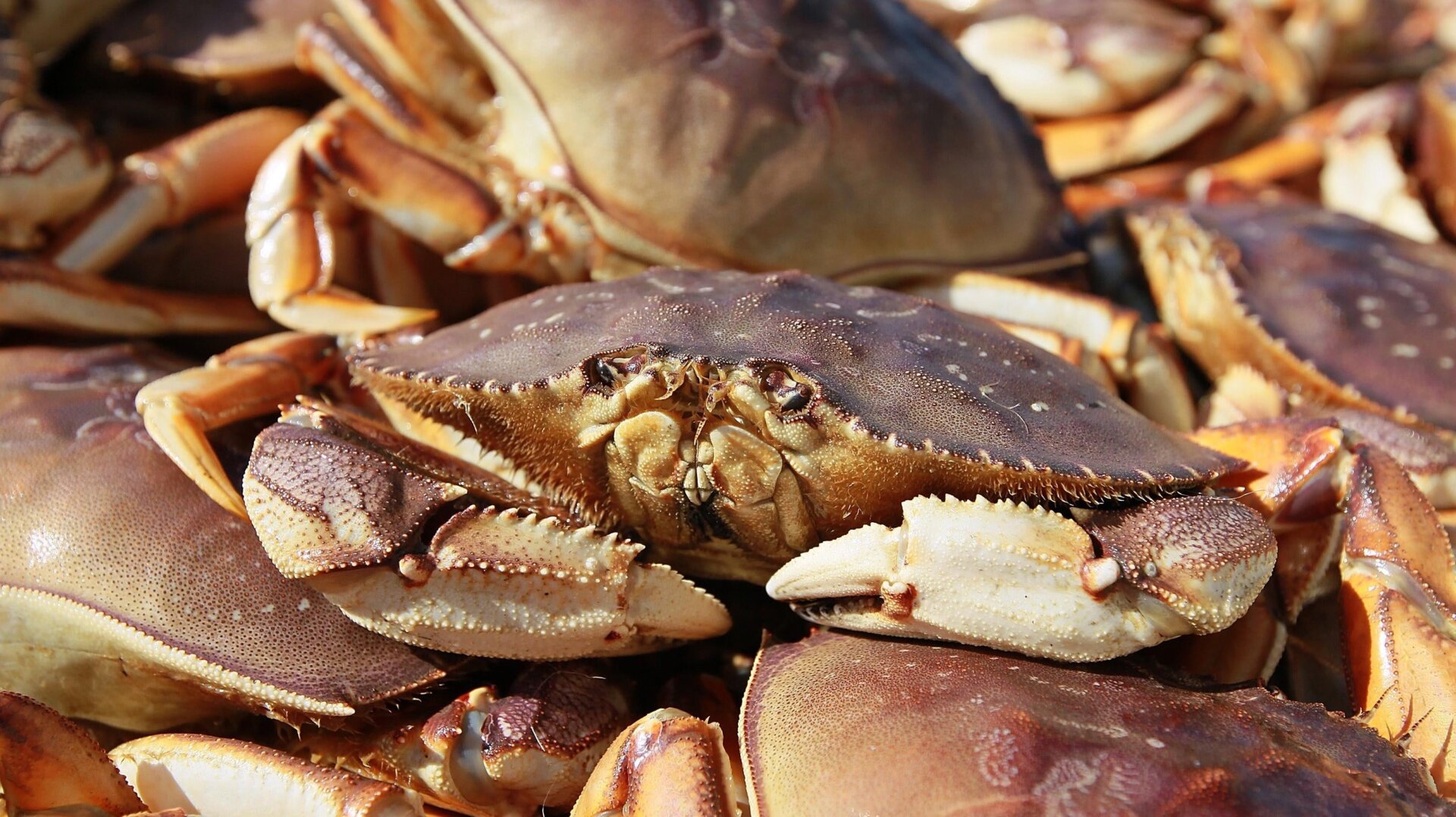 They’re getting bigger.