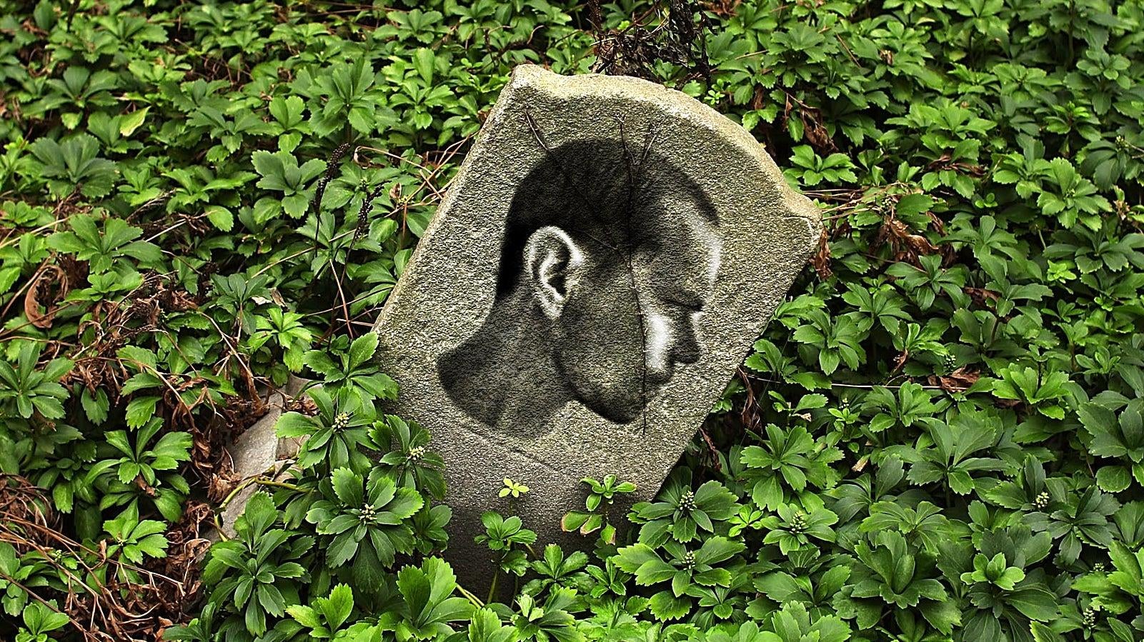 Photo: Spencer Platt / Illustration: Shoshana Wodinsky (Gizmodo)