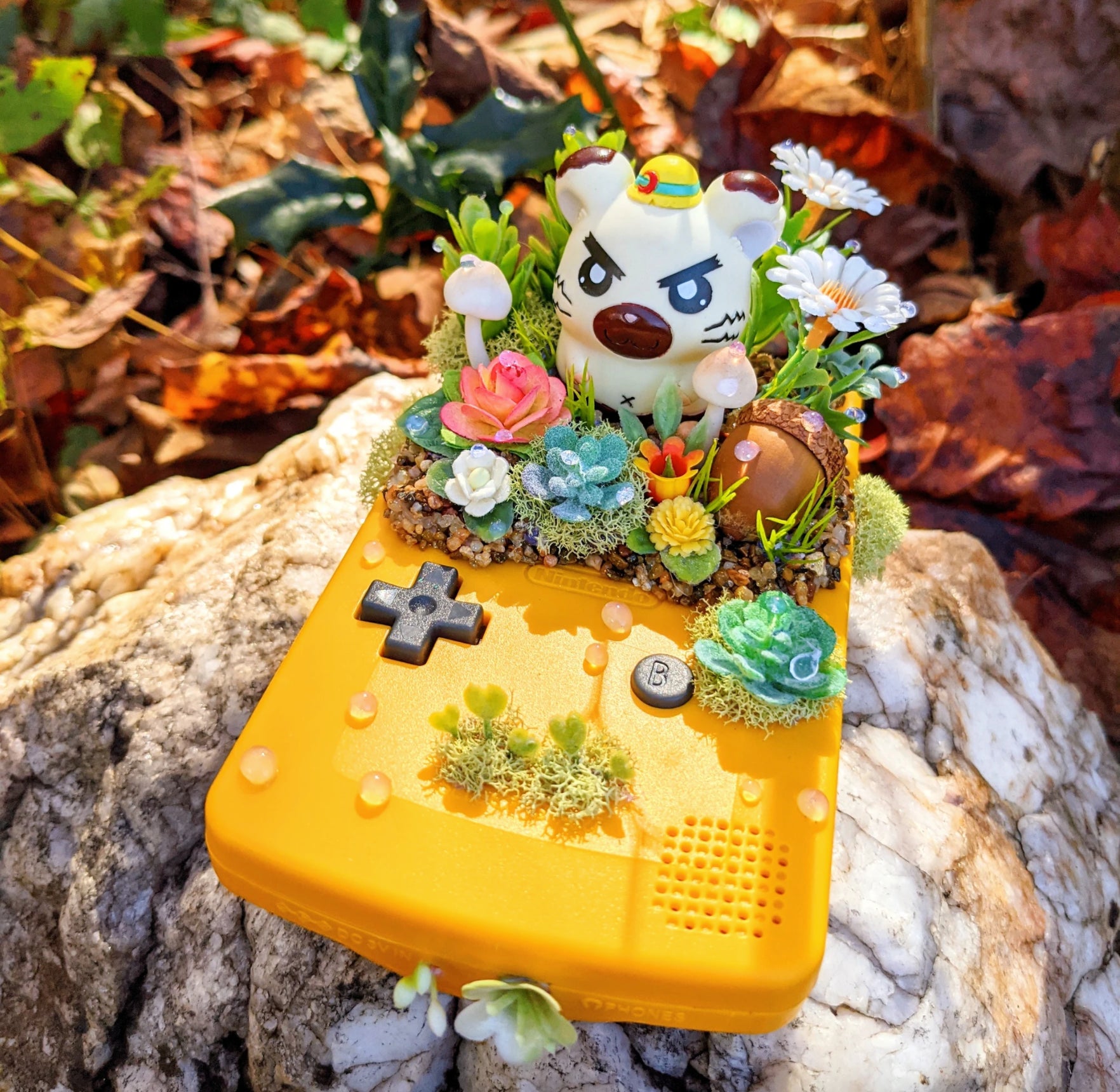 Photo: Waku Waku Island (Used With Permission)