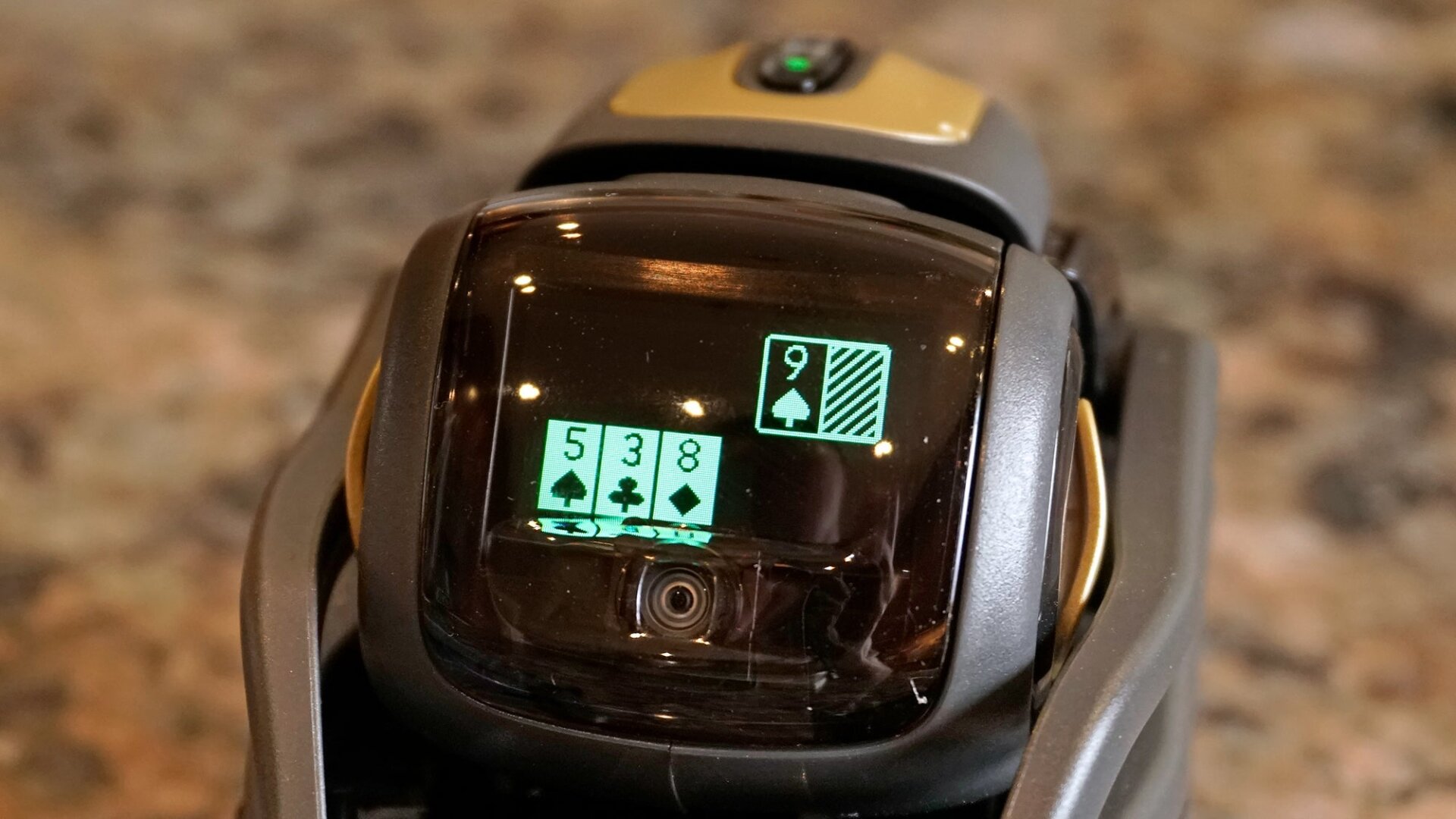 Play Blackjack with the Vector Home Robot. 