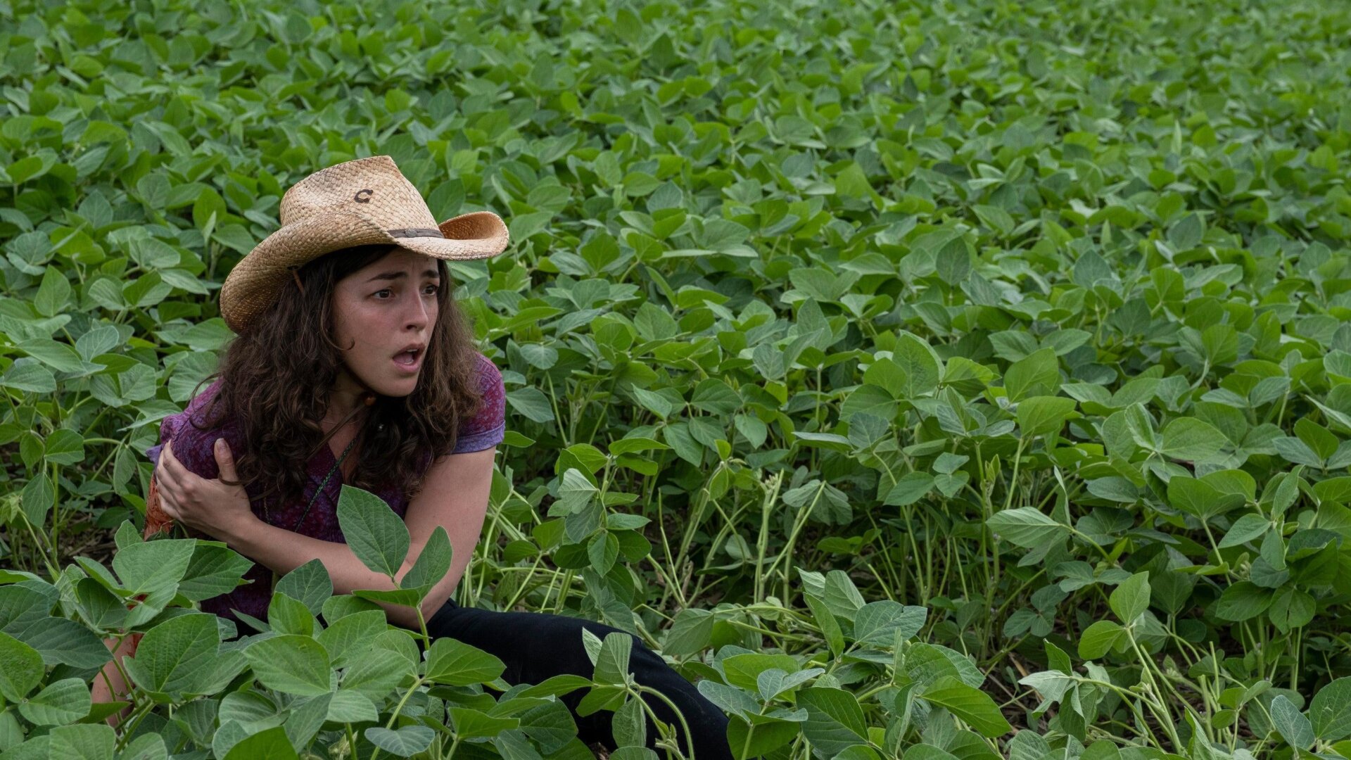 Yes, Hero, that’s him.