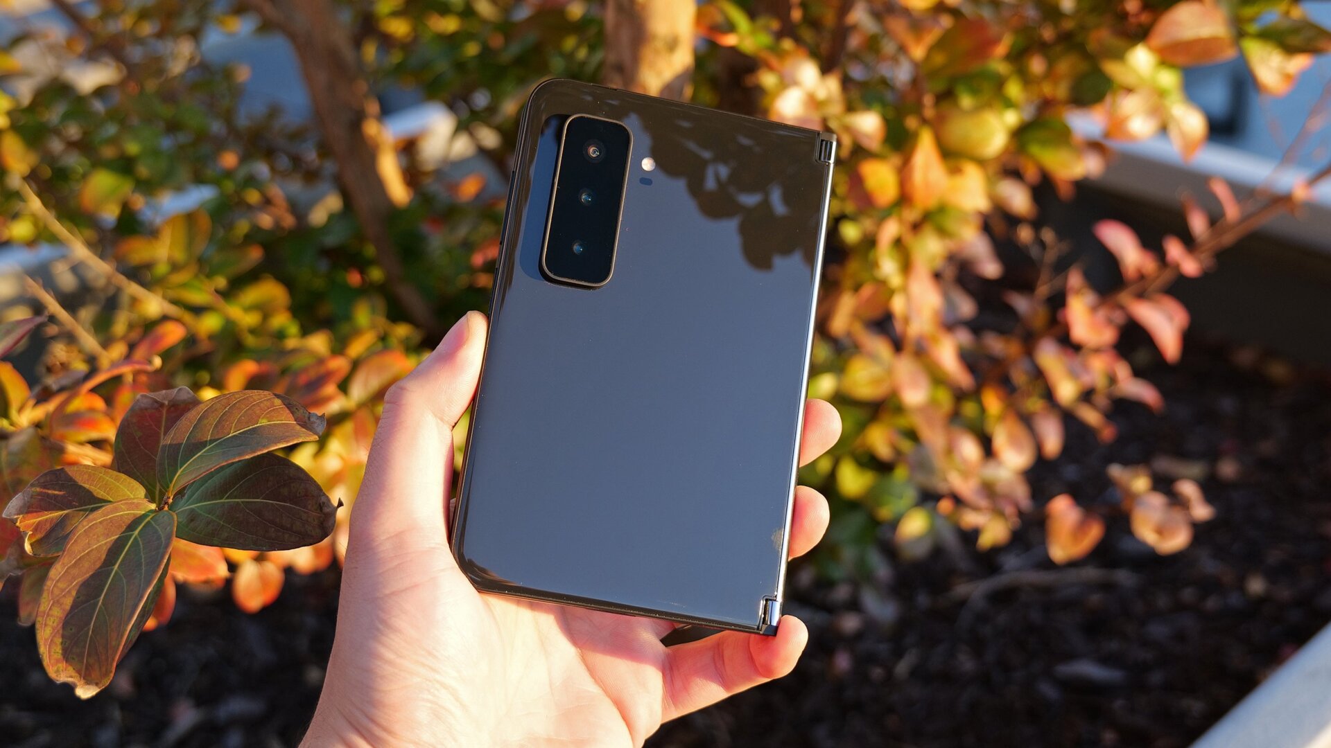 Photo: Sam Rutherford