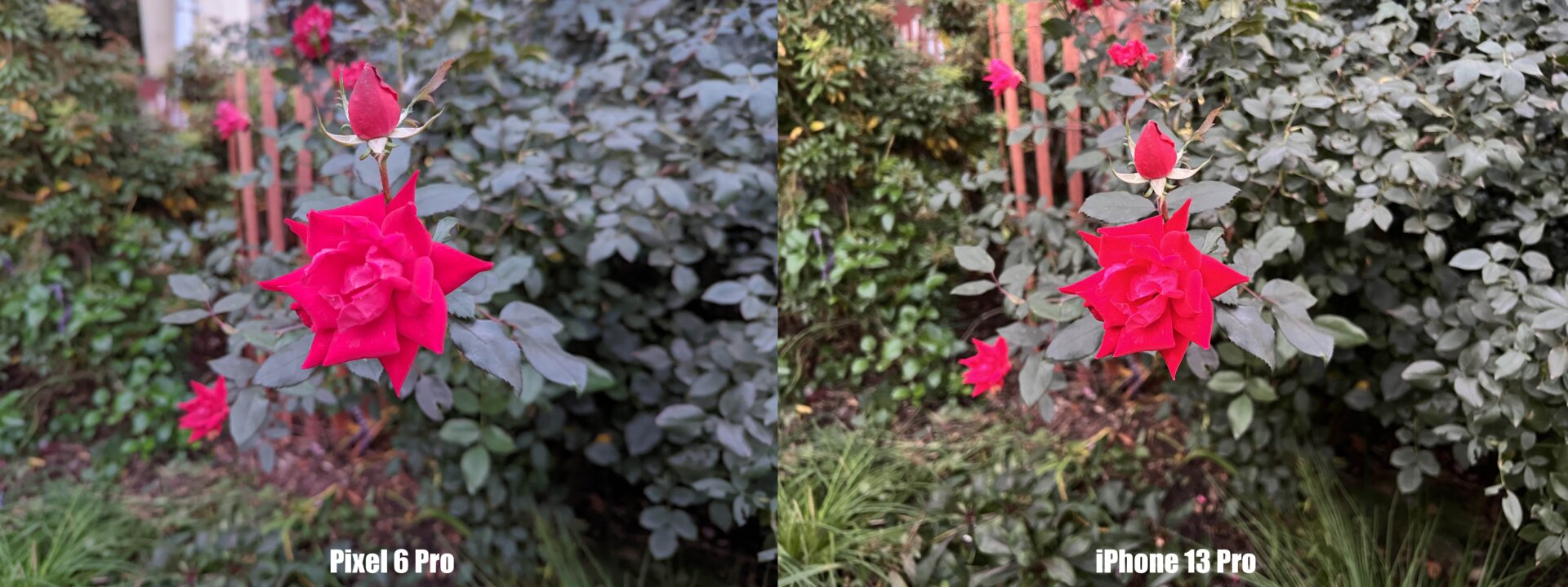 Photo: Sam Rutherford