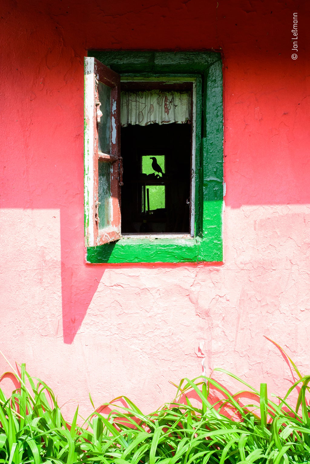 Photo: Jan Leßmann/Wildlife Photographer of the Year