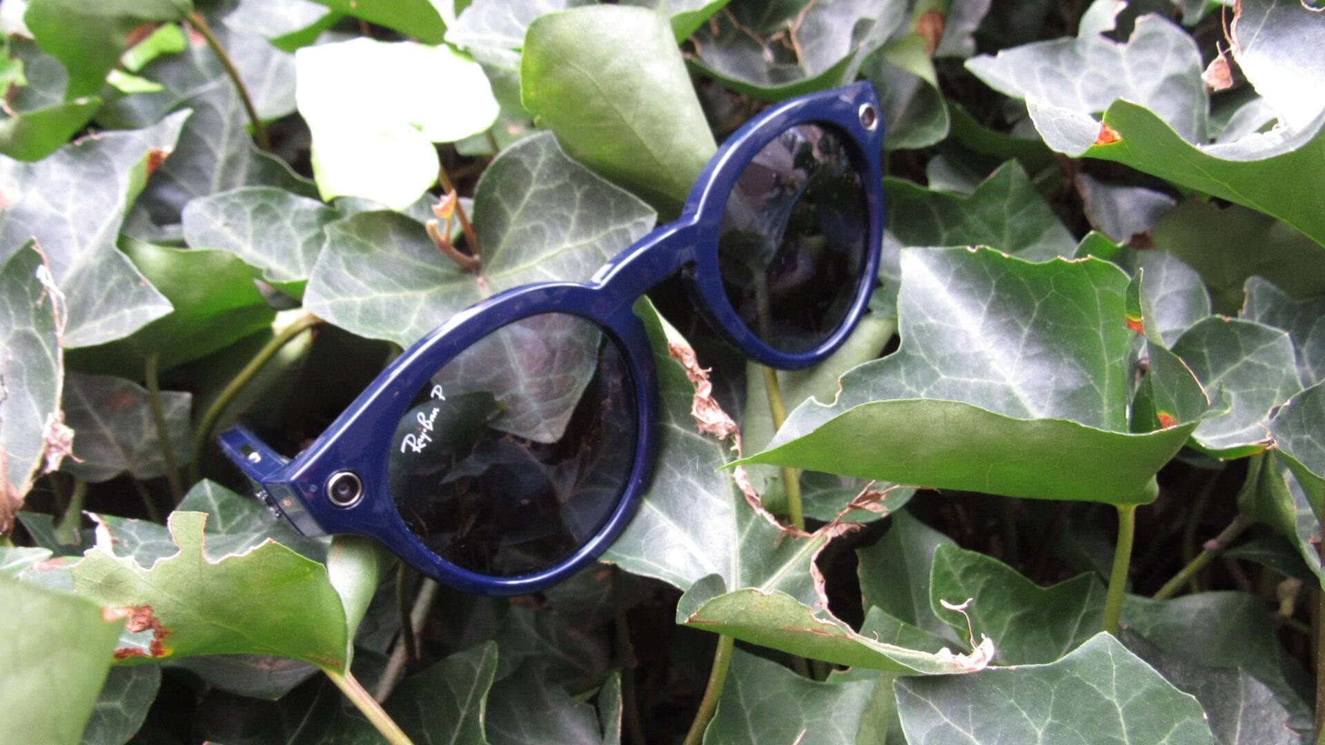 Do you ever feel like... you’re being watched?