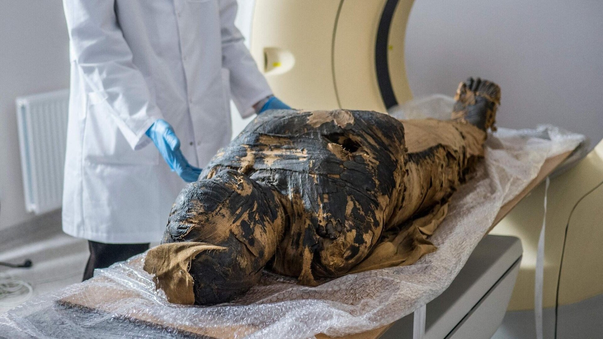 The mummy in question getting an MRI in 2015.