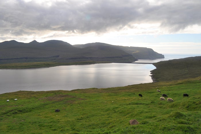 The lake on Eysturoy in which centuries-old sheep DNA was found.