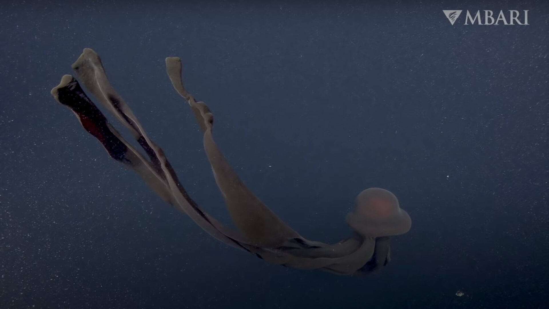 Nothing to worry about here.