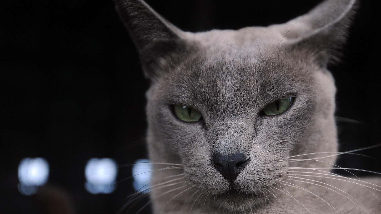 Photo: Soe Than Win/AFP