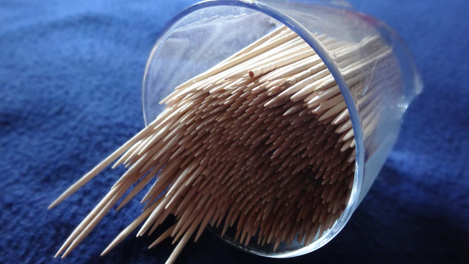 Photo: Gausanchennai/Wikimedia Commons