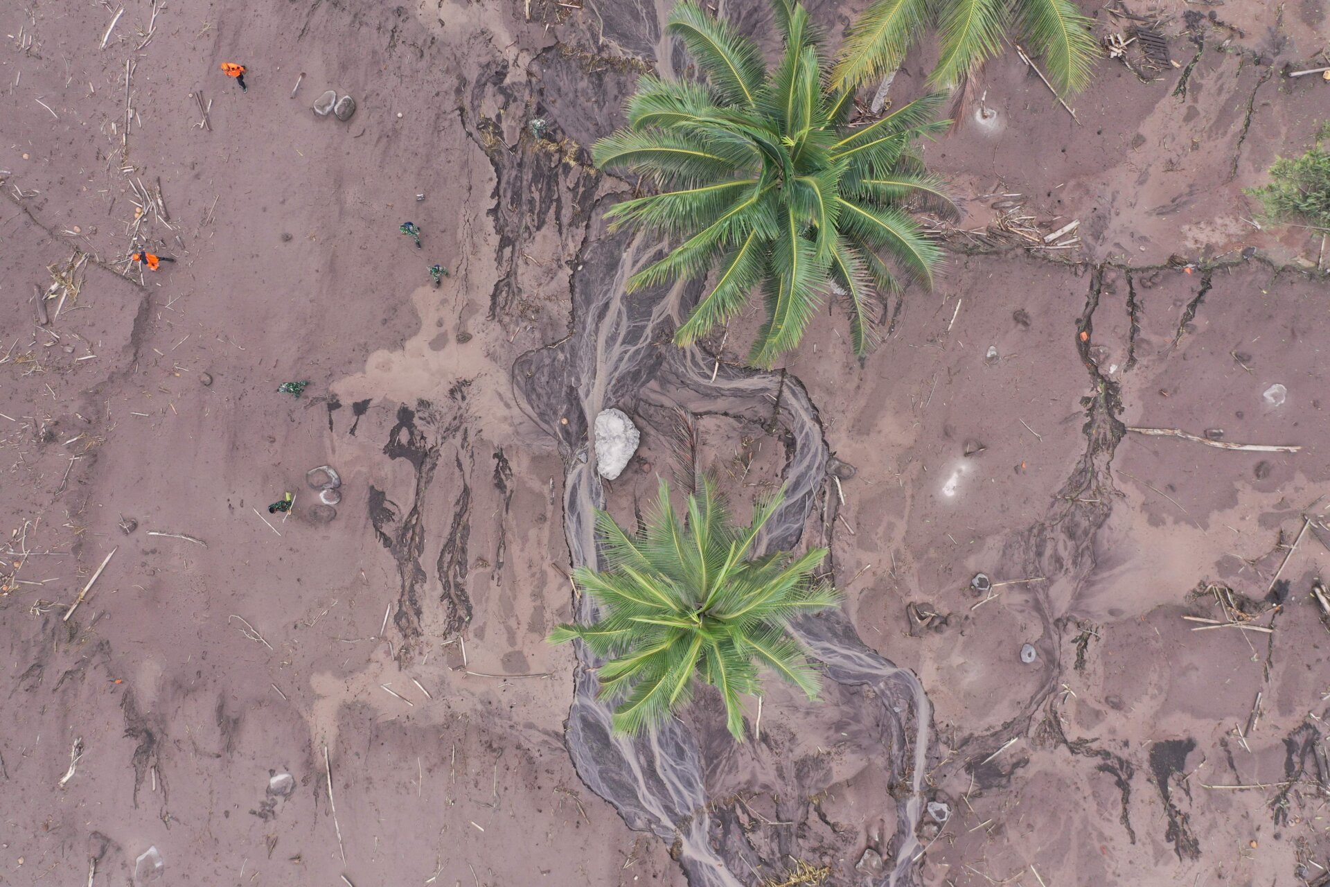 Members of a search and rescue team (orange) conduct a search operation for missing people at the Sumberwuluh village.