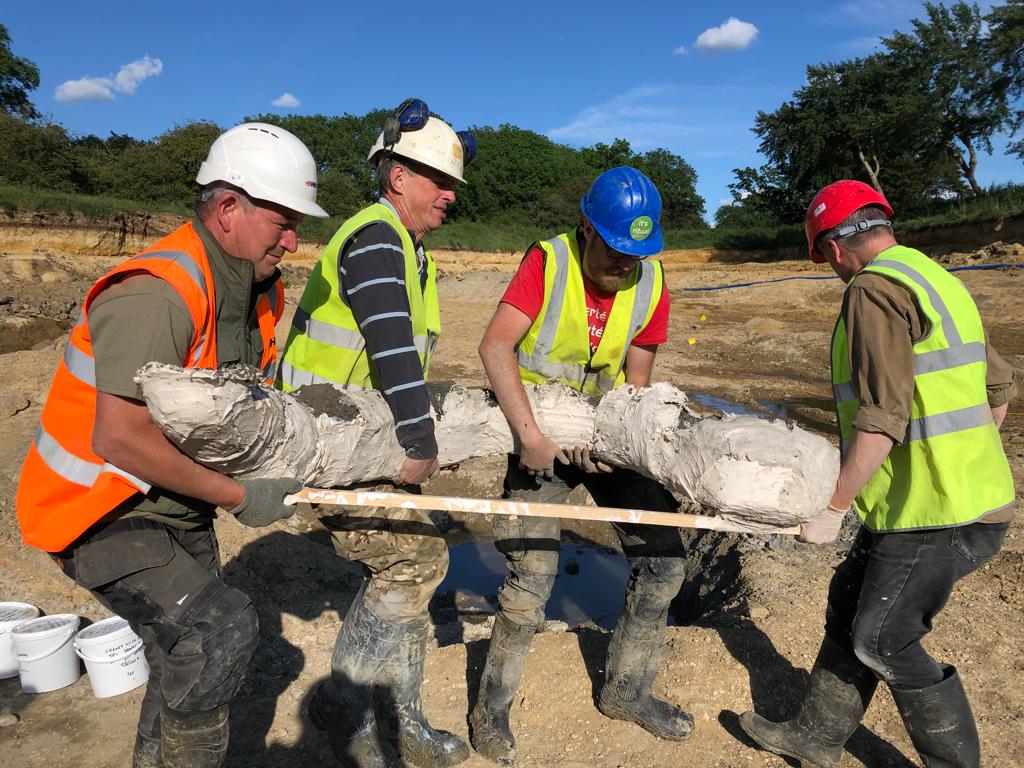 Archaeologists lifting the mammoth tusk.