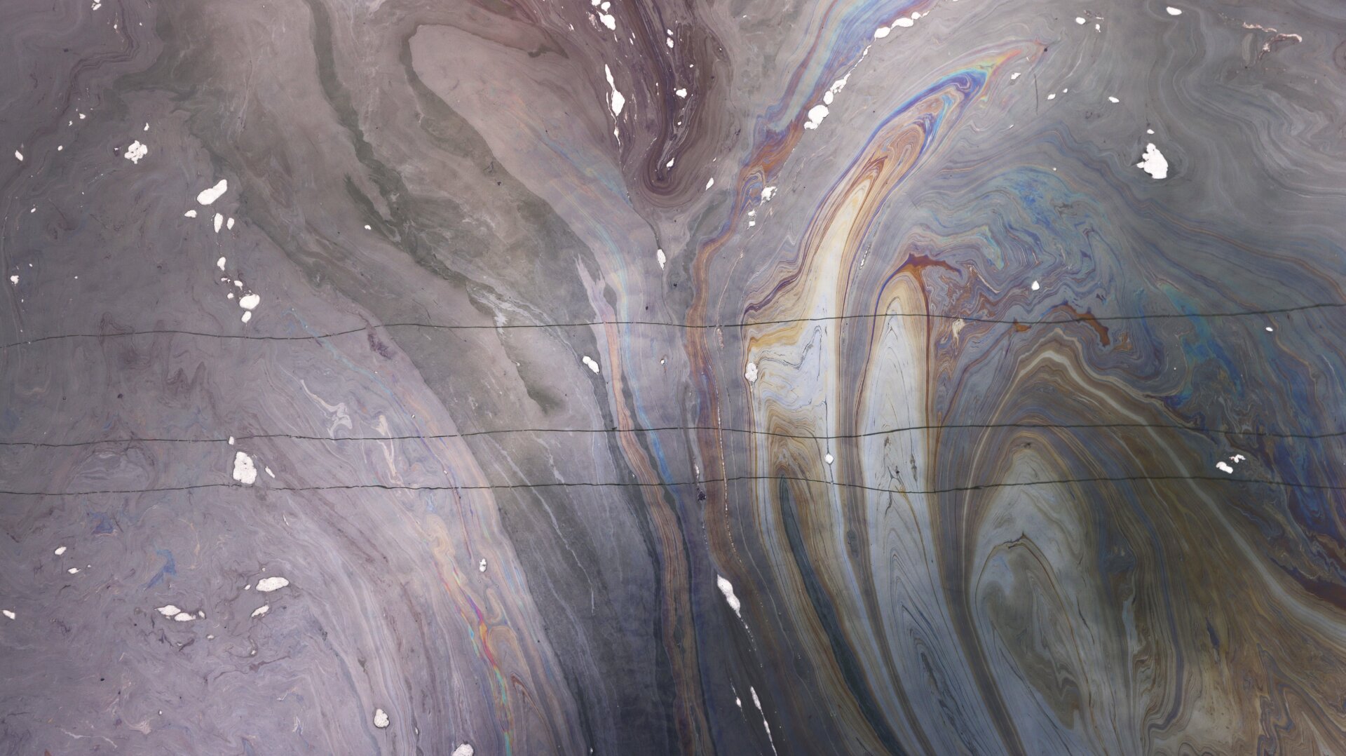 A photo of water contaminated with oil in the Talbert Marsh,