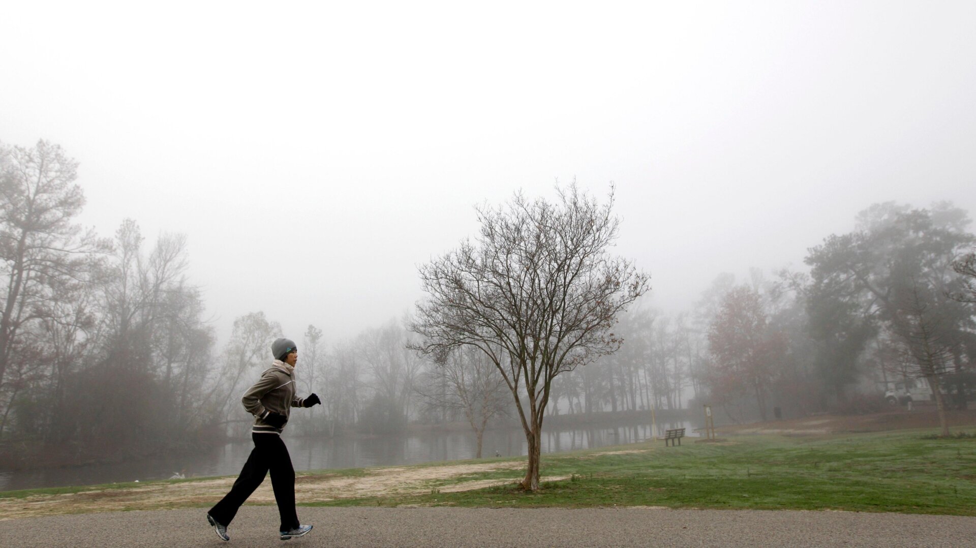 Photo: David J. Phillip