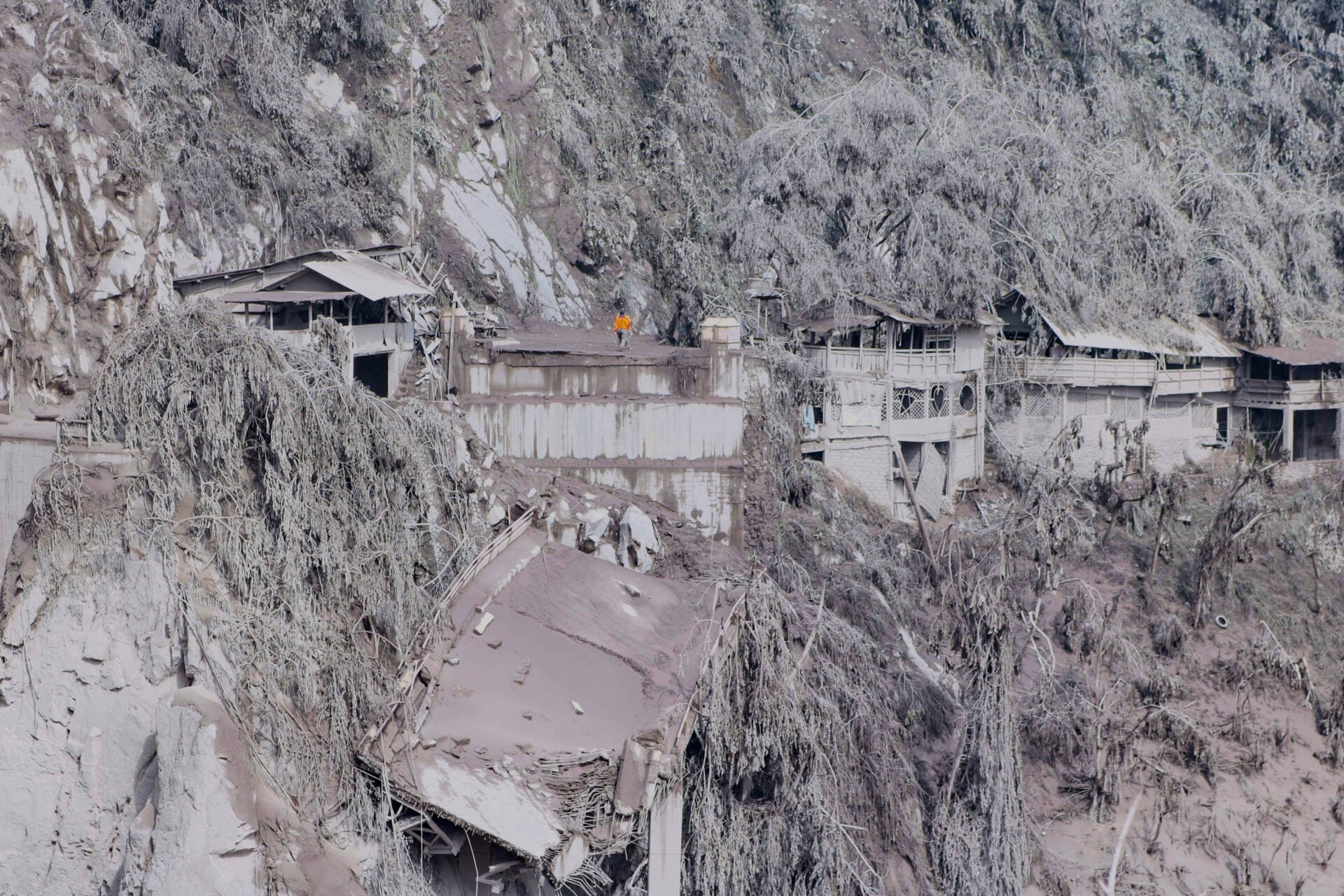 Ash covers houses and trees on the slopes of Mount Semeru in Lumajang.