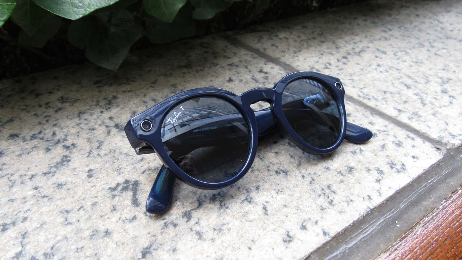 Photo: Brianna Provenzano/Gizmodo