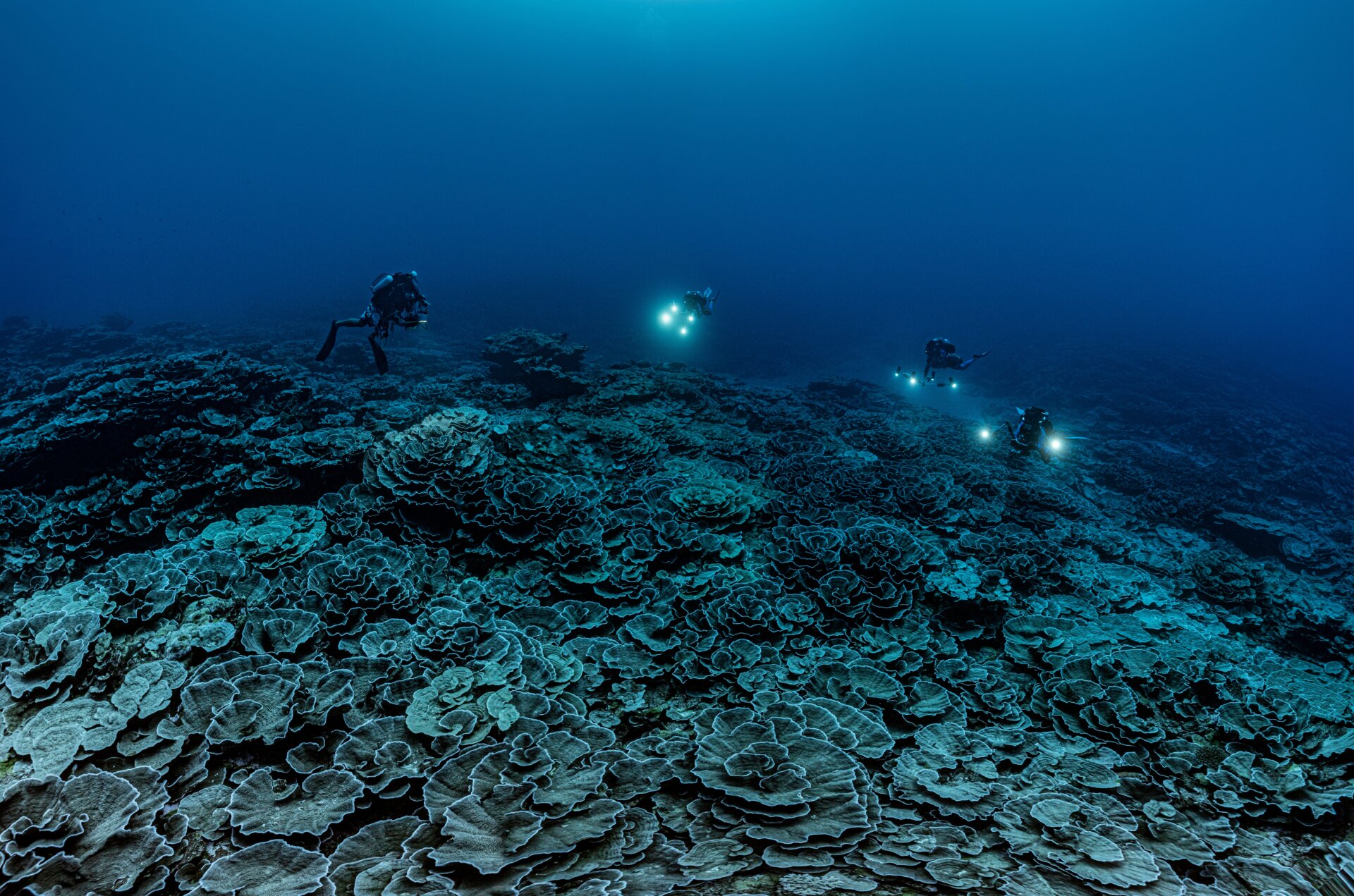 Photo: Alexis Rosenfeld/UNESCO