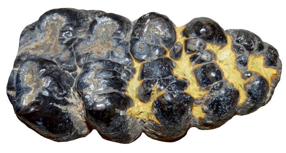 A Notiomastodon molar full of dental calculus (in false-color yellow).