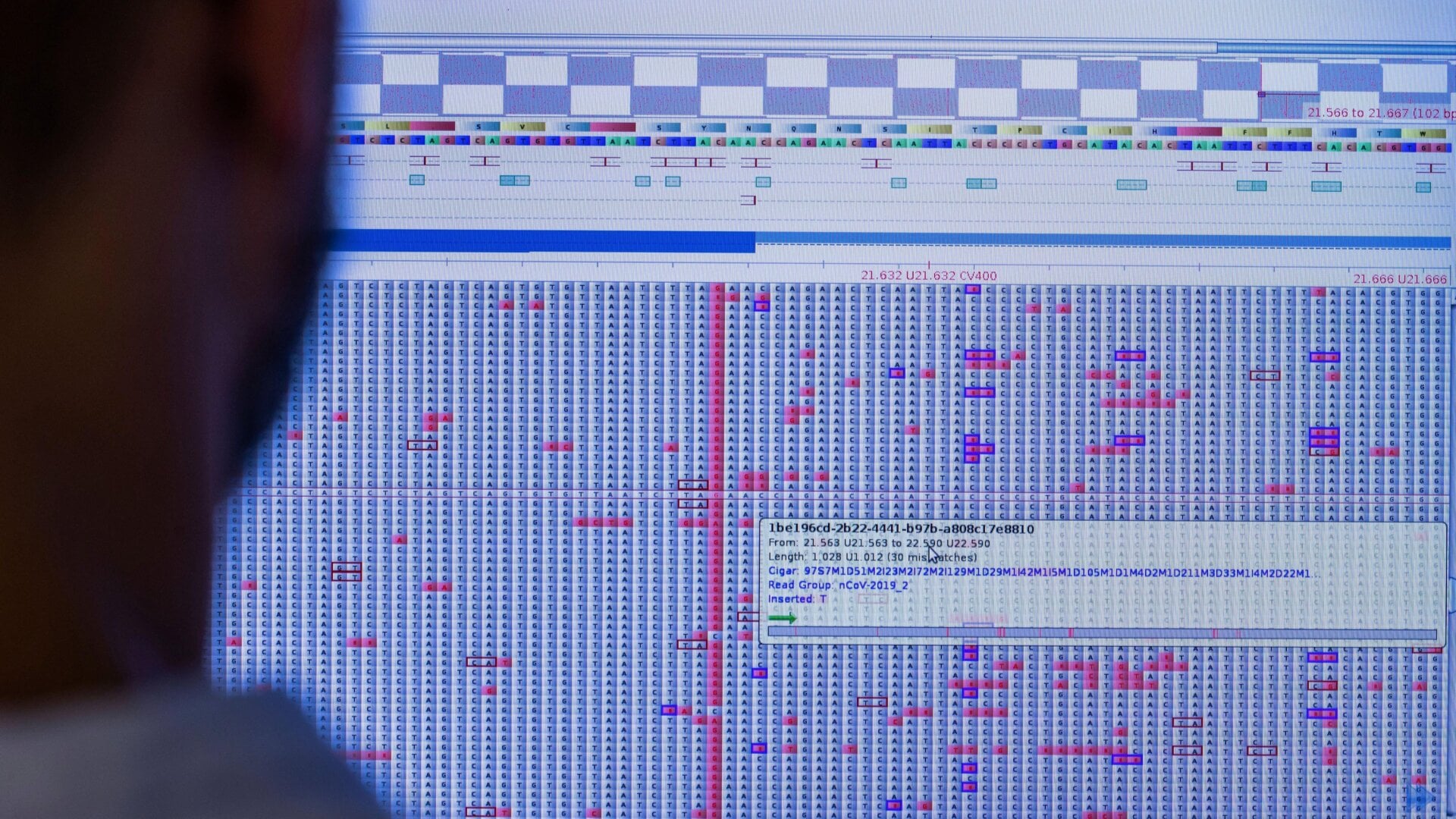 A biologist searches for new variants and mutations of the coronavirus at Greifswald University Medical Center.