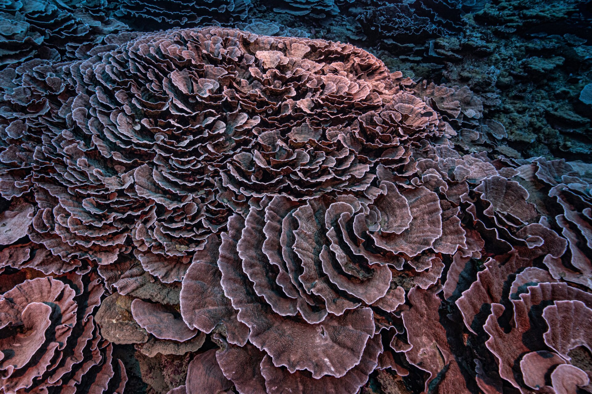 Photo: Alexis Rosenfeld/UNESCO