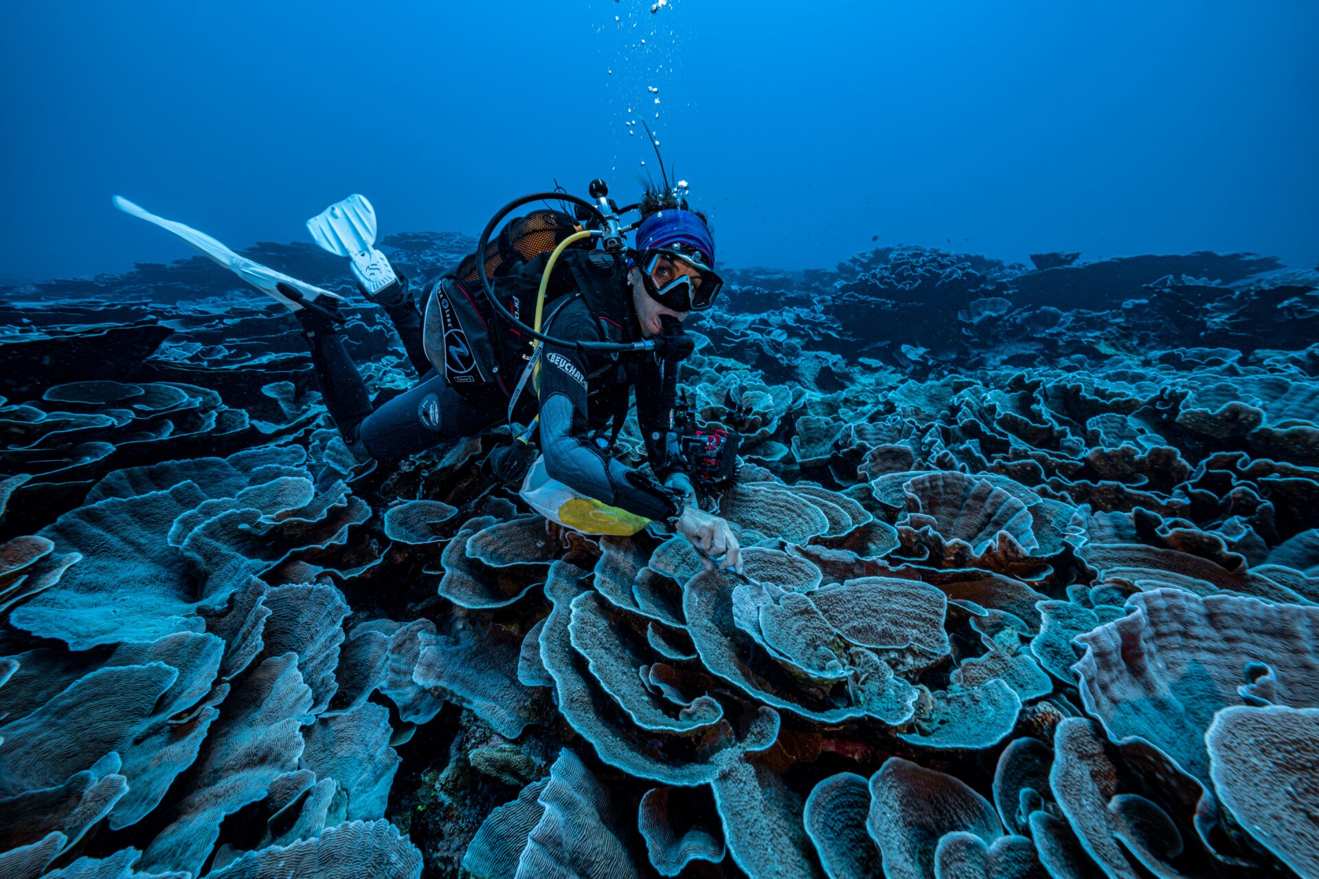 Photo: Alexis Rosenfeld/UNESCO