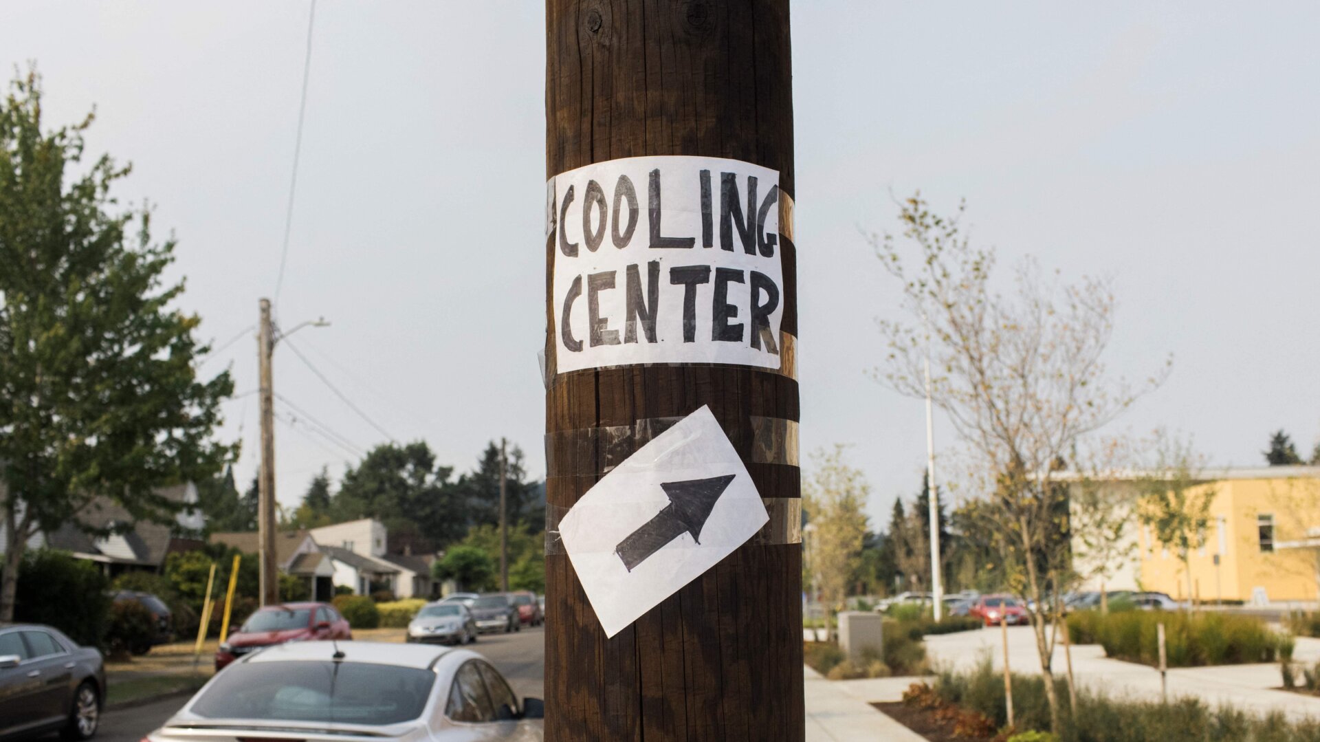 Photo: Michael Hanson