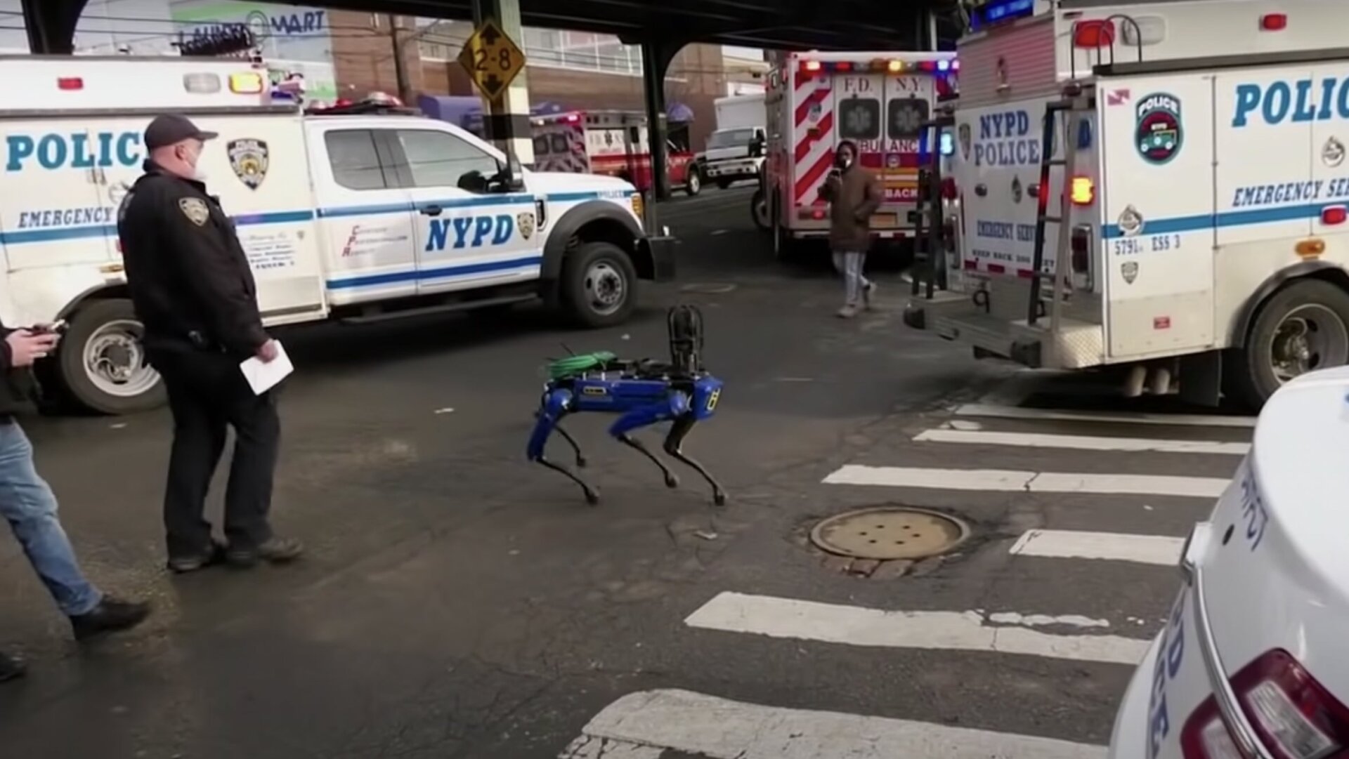 Screenshot: Fox News 5