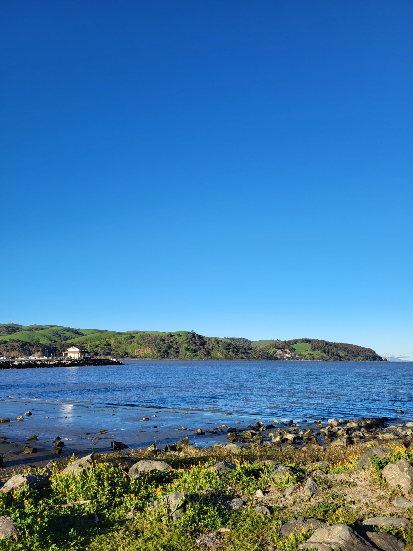 Enjoy this scenic photo I took with the Galaxy S21 FE 5G.