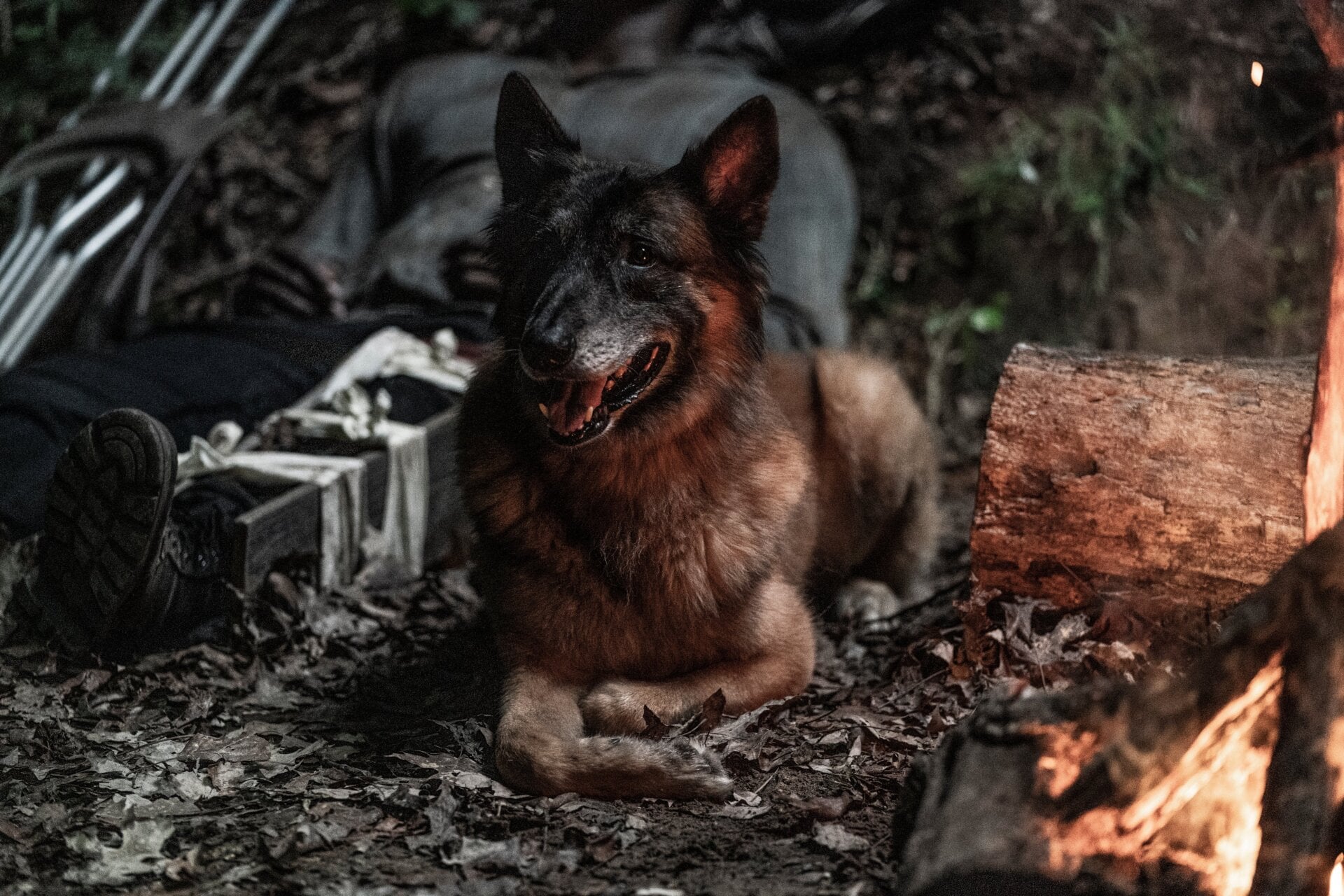 Photo: Josh Stringer/AMC