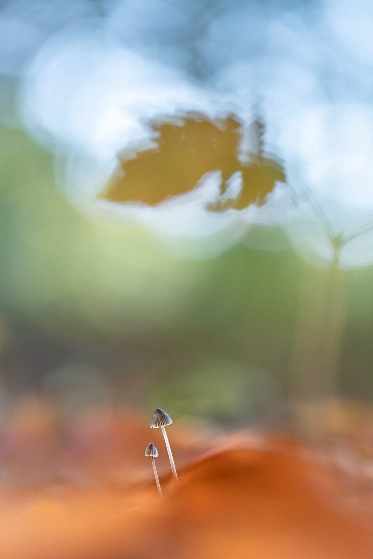Photo: © Ria Bloemendaal | cupoty.com