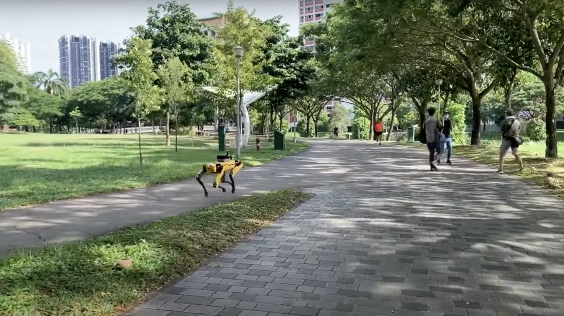 Photo: The Straits Times