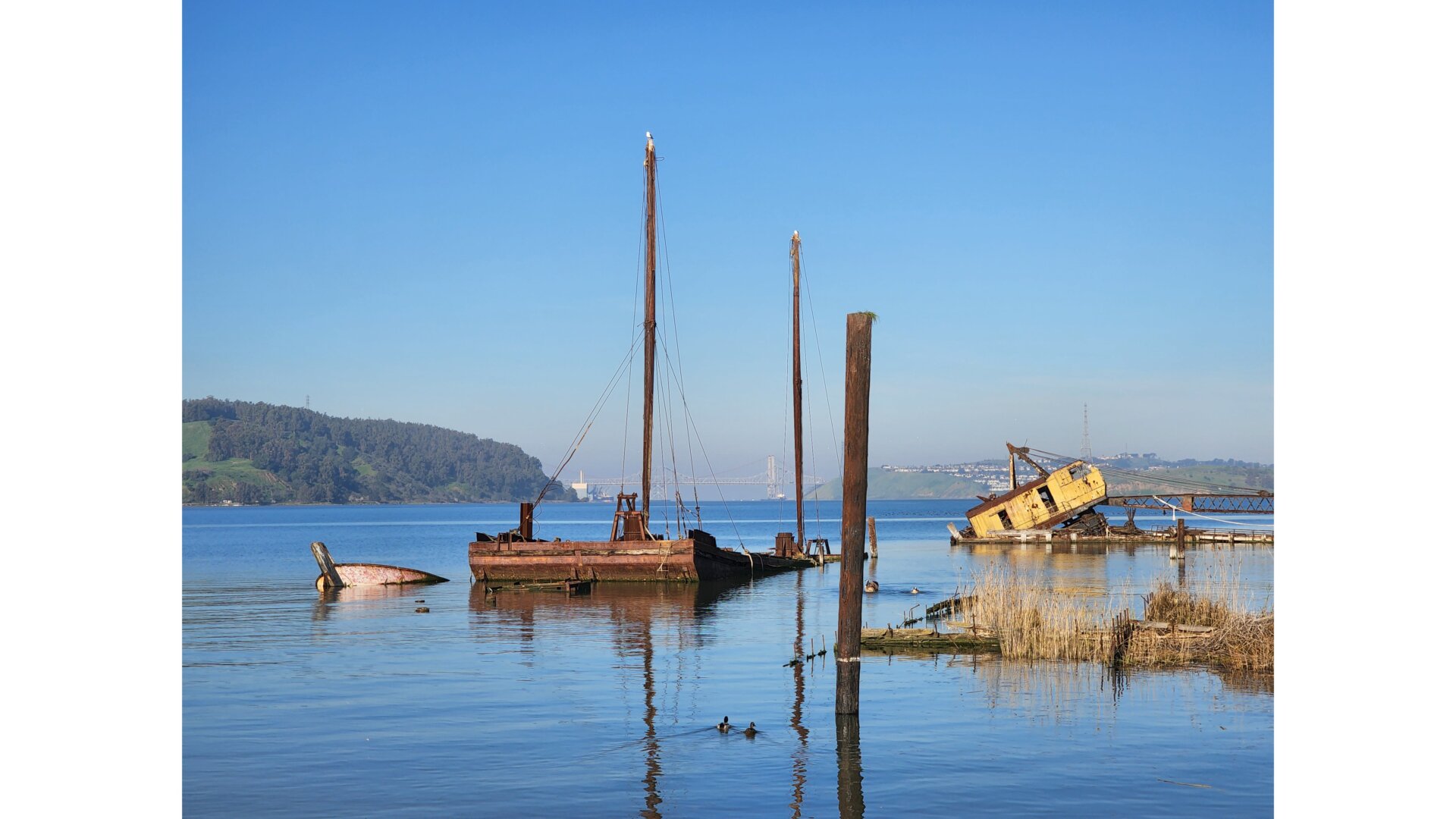 Image: Florence Ion / Gizmodo