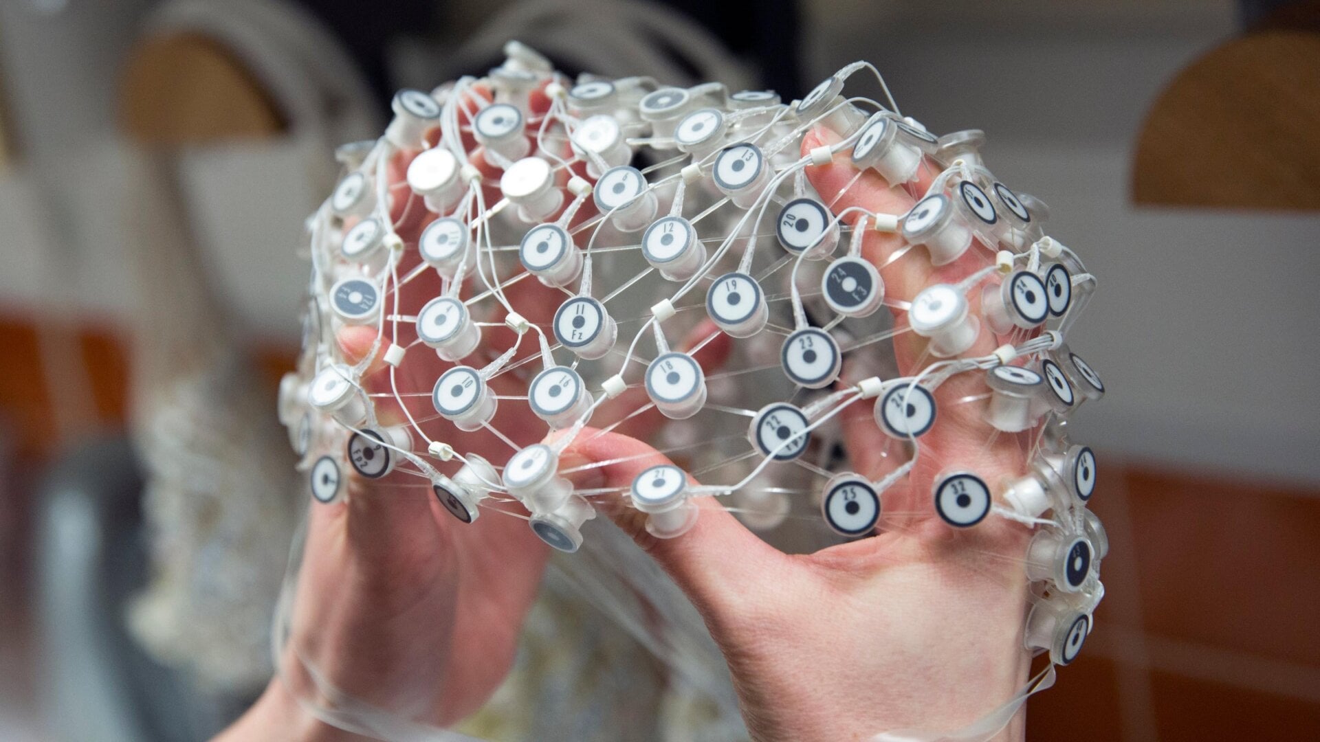 A ‘Geodesic Sensor Net,’ used to obtain a highly detailed EEG reading.