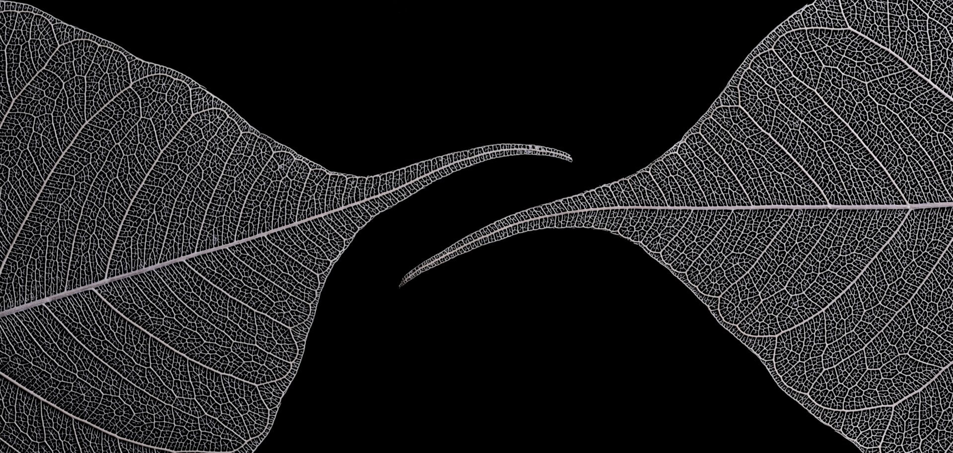 Photo: © Julia Briggs | cupoty.com